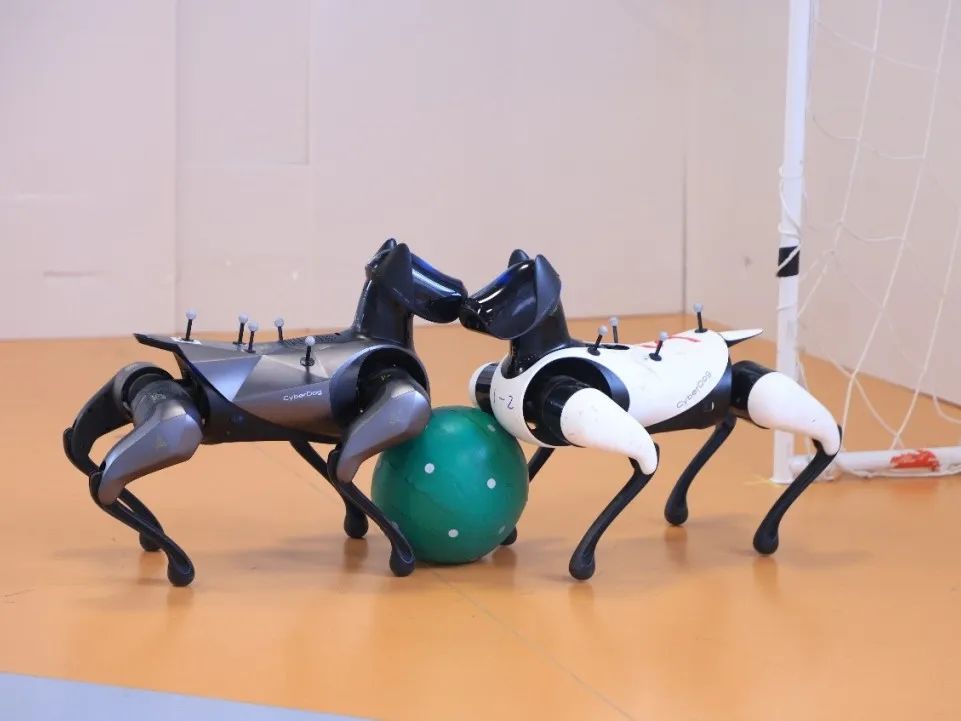 精彩瞬间 2