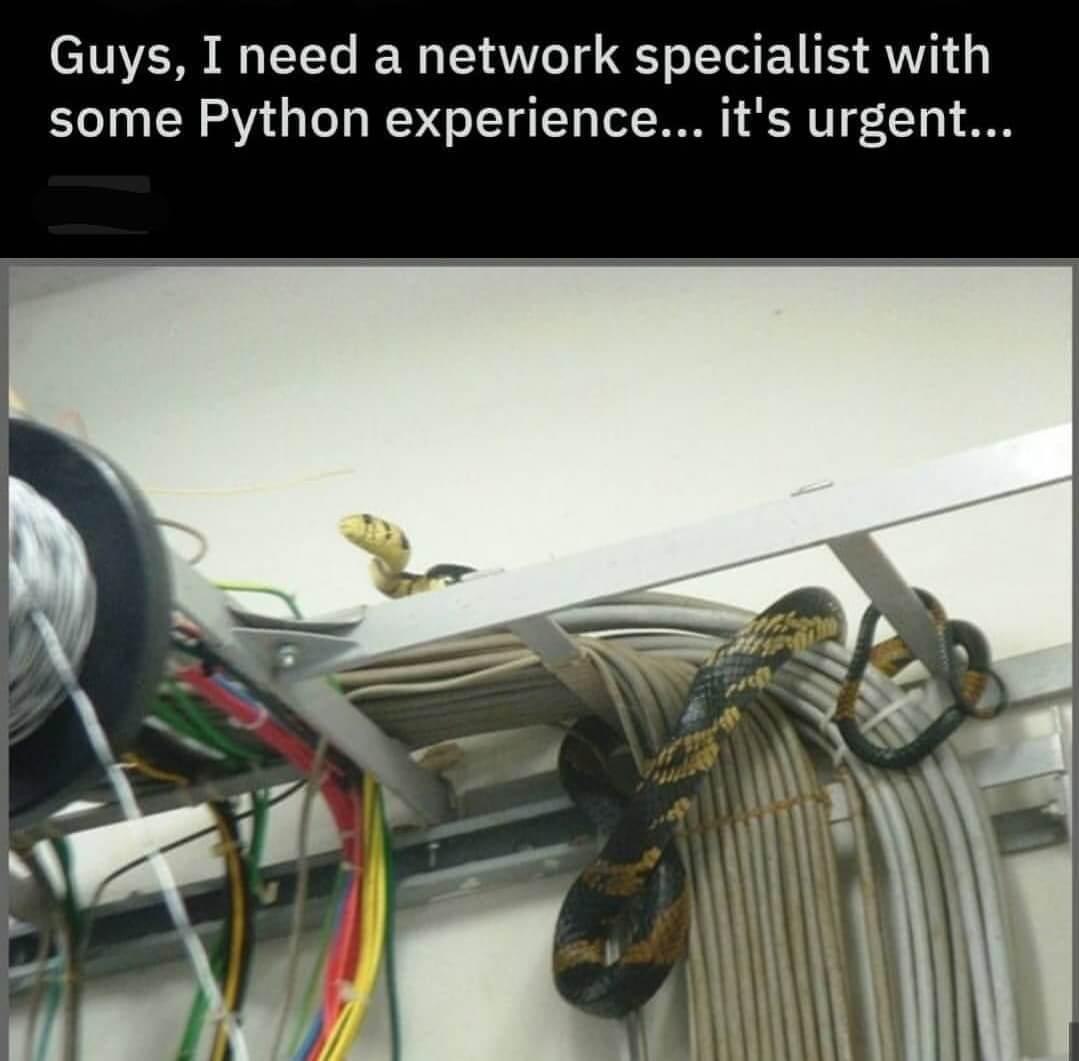 snake